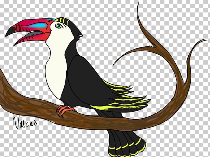 Bird Piciformes Toucan Beak PNG, Clipart, Animal, Animals, Beak, Bird, Cartoon Free PNG Download