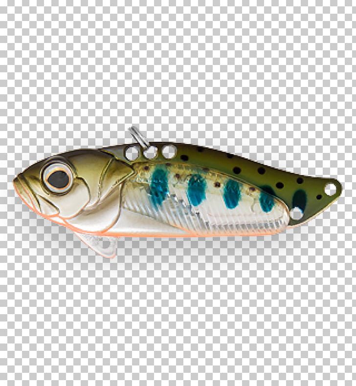 Spoon Lure Cicadidae Fishing Baits & Lures Sardine PNG, Clipart, Astro, Bait, Bony Fish, Brand, Cicadidae Free PNG Download