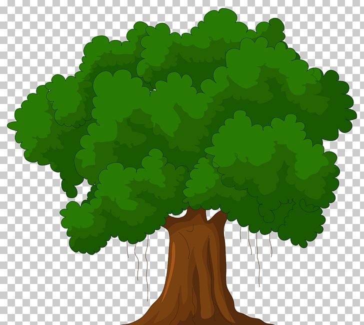 Tree Cartoon Green PNG, Clipart, Arecaceae, Cartoon, Cartoon Network, Clip Art, Clipart Free PNG Download
