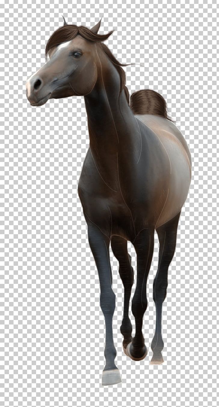 Horse Stallion PNG, Clipart, Animals, Arbol, Biology, Colt, Day Free PNG Download