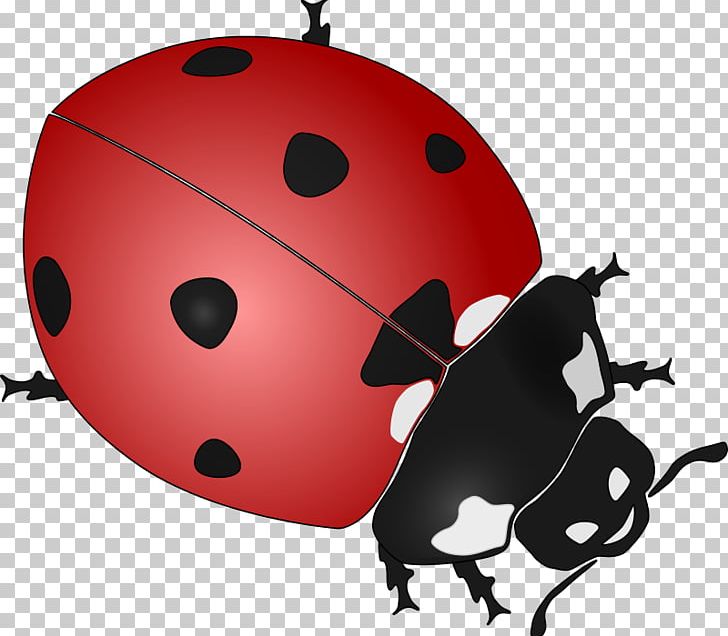 Ladybird Drawing Black And White PNG, Clipart, Beetle, Black And White, Color, Coloring Book, Drawing Free PNG Download