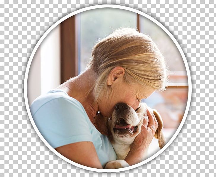 Therapy Dog Pet Sitting Veterinarian PNG, Clipart,  Free PNG Download