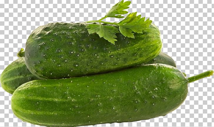 Cucumber PNG, Clipart, Cucumber Free PNG Download