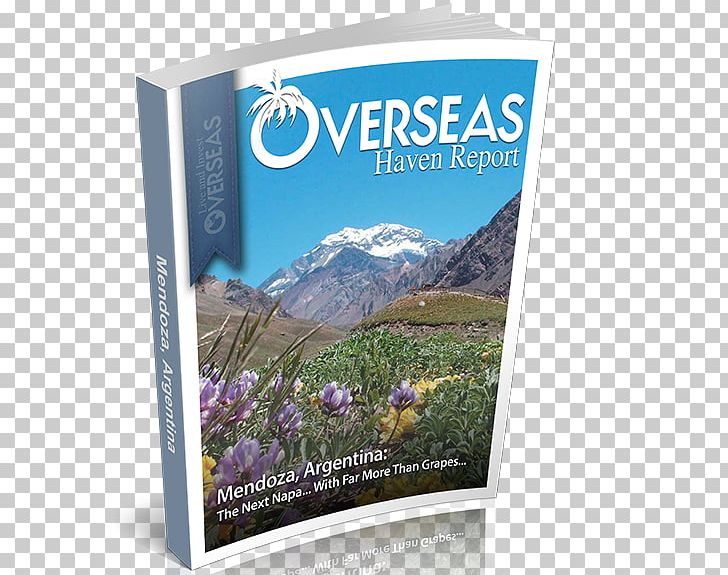 Live And Invest Overseas Placencia Retirement Las Tablas PNG, Clipart, Advertising, Bucaramanga, City, Ecosystem, Flora Free PNG Download