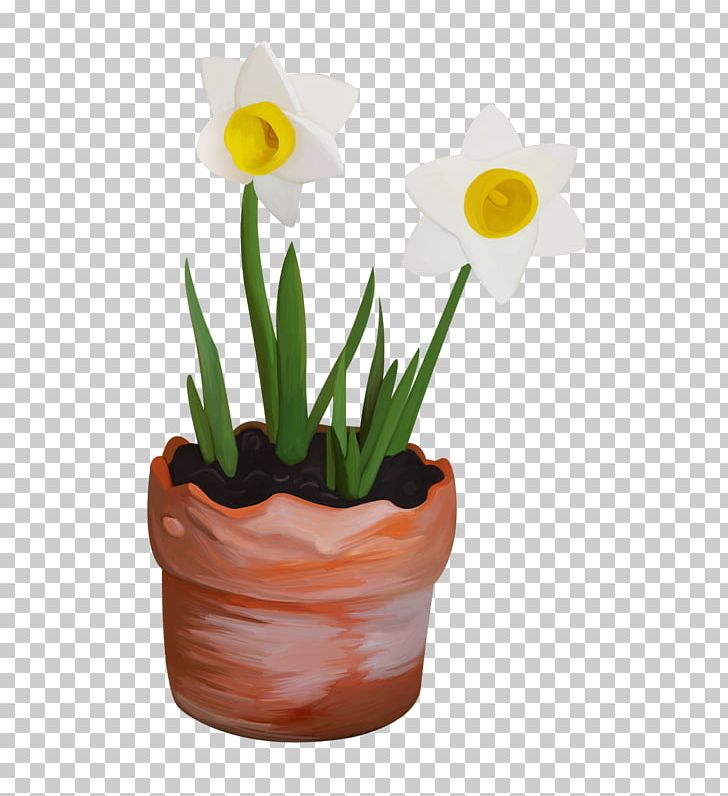 Narcissus Flowerpot PNG, Clipart, Deco, Flower, Flowering Plant, Flowerpot, Flowers Free PNG Download
