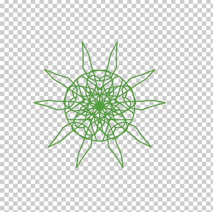 Plant Stem Symmetry Circle Point PNG, Clipart, Artwork, Circle, Dreamcatcher, Flora, Flower Free PNG Download