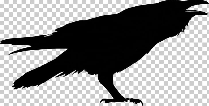 Silhouette Drawing PNG, Clipart, American Crow, Animals, Art, Beak, Bez Free PNG Download