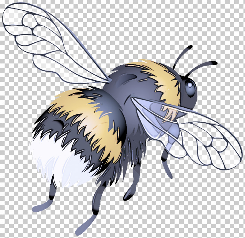Bees Honey Bee Insects Worker Bee Honeycomb PNG, Clipart, Bees, Fly, Honey, Honey Bee, Honeycomb Free PNG Download