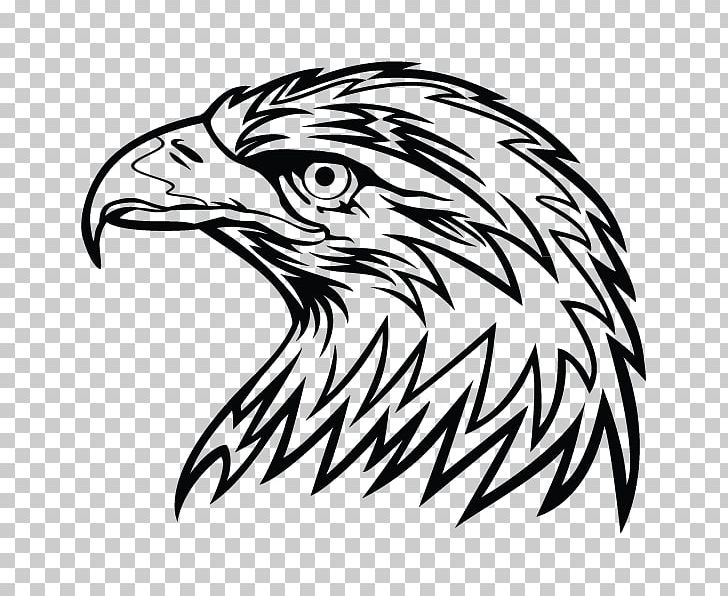 Bald Eagle Drawing PNG, Clipart, Animals, Art, Artwork, Bald Eagle, Beak Free PNG Download