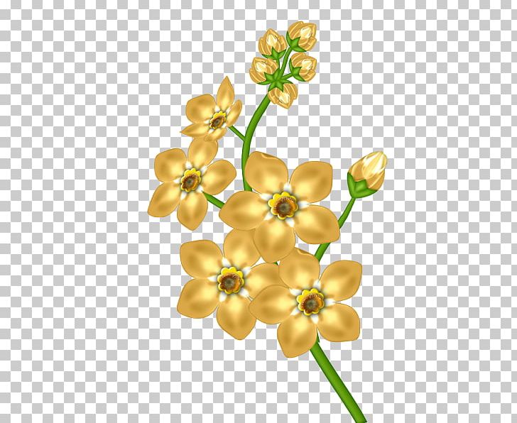 Flower PNG, Clipart, Body Jewelry, Clipart, Clip Art, Color, Computer Icons Free PNG Download