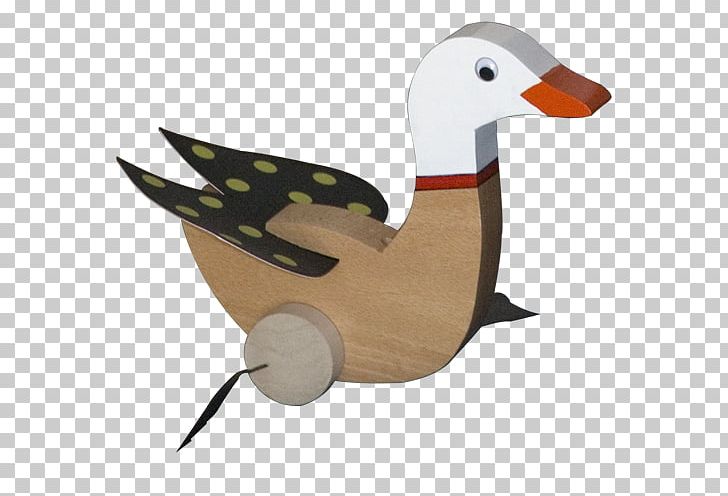 Mallard Duck Beak /m/083vt PNG, Clipart,  Free PNG Download