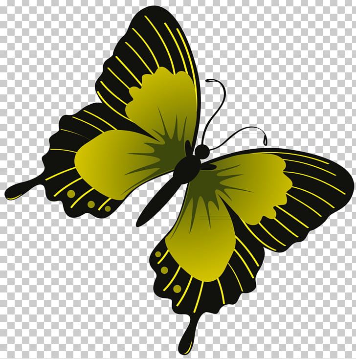 Monarch Butterfly Pieridae PNG, Clipart, Arthropod, Brush Footed Butterfly, Digital Image, Flower, Insect Free PNG Download