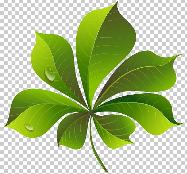 Green Leaf PNG, Clipart, Autumn, Autumn Leaf Color, Color, Computer Icons, Green Free PNG Download