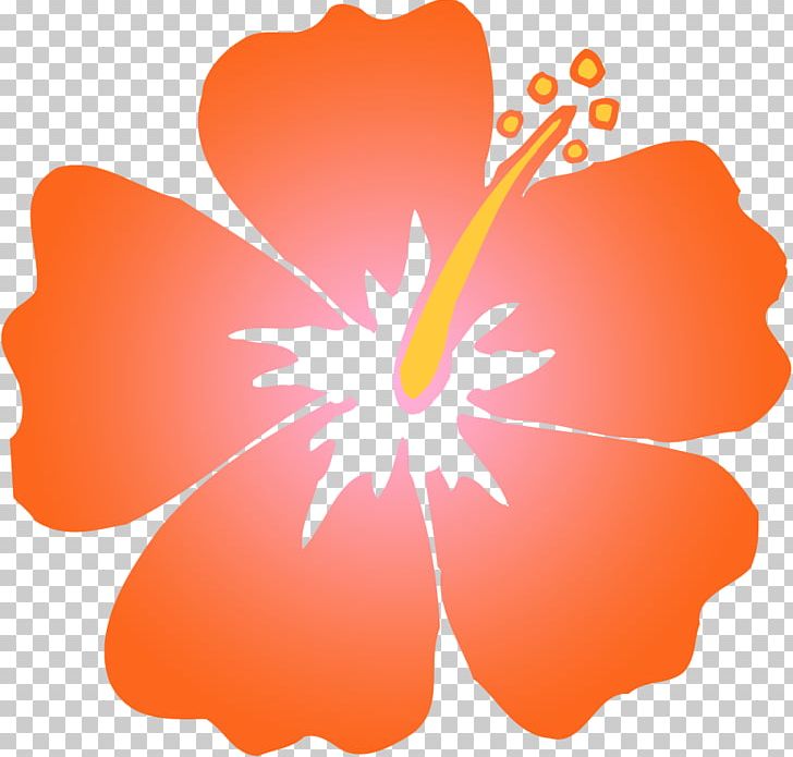 Hibiscus Schizopetalus Hawaiian Hibiscus Orange PNG, Clipart, Alyogyne Huegelii, Blue, Color, Drawing, Flower Free PNG Download