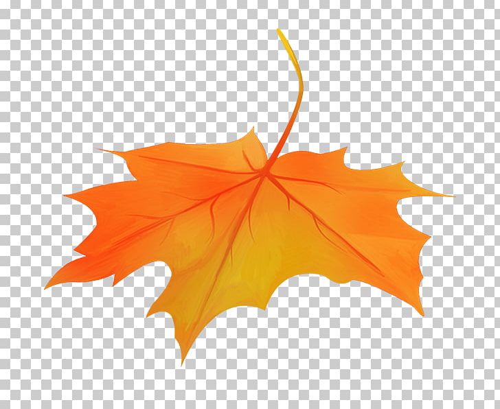 Maple Leaf Stock Photography PNG, Clipart, Autumn, Depositphotos, Download, Flowering Plant, Leaf Free PNG Download