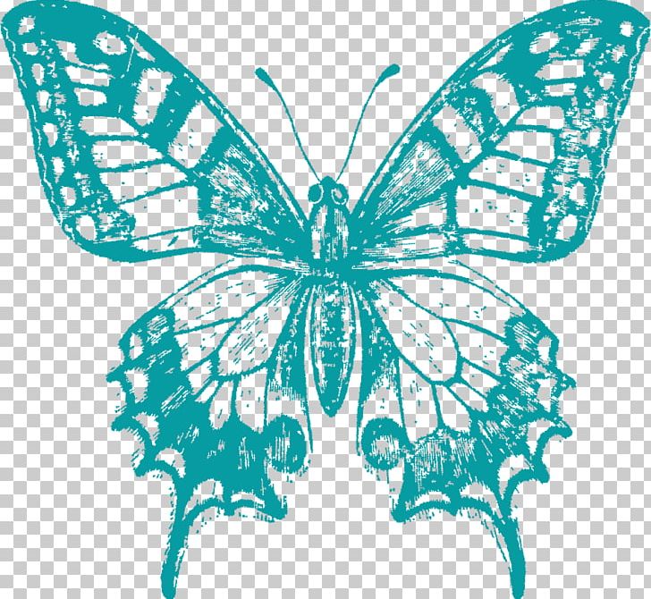Swallowtail Butterfly Papilio Machaon Drawing Painting PNG, Clipart, Apollo, Arthropod, Brush Footed Butterfly, Butterfly, Insect Free PNG Download