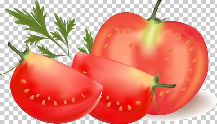 Cherry Tomato Vegetable PNG, Clipart, Bell Peppers And Chili Peppers, Encapsulated Postscript, Euclidean Vector, Food, Fruit Free PNG Download