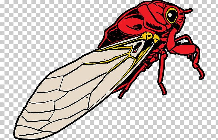 Cicadidae The Cry Of Cicadas Insect Cartoon PNG, Clipart, Art, Arthropod, Artwork, Beak, Cartoon Free PNG Download
