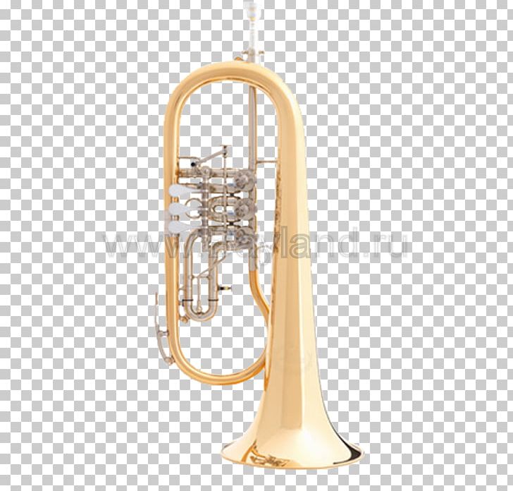 Cornet Flugelhorn Saxhorn Brass Instruments Euphonium PNG, Clipart, Alto Horn, Brass, Brass Instrument, B S, Bugle Free PNG Download