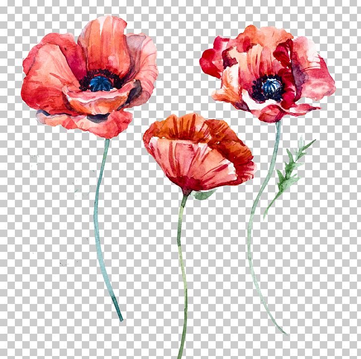 Poppy Flowers PNG, Clipart, Artificial Flower, Common Poppy, Coquelicot, Encapsulated Postscript, Flower Free PNG Download