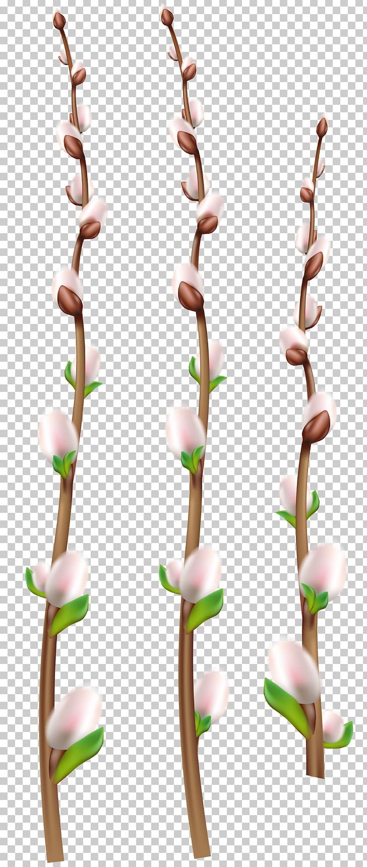 Twig PNG, Clipart, Art Museum, Branch, Download, Easter, Others Free PNG Download