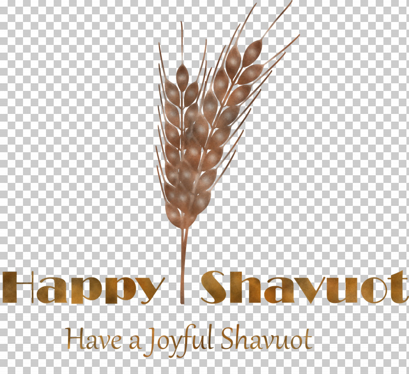Happy Shavuot Shavuot Shovuos PNG, Clipart, Crop, Einkorn Wheat, Elymus Repens, Food Grain, Grass Free PNG Download