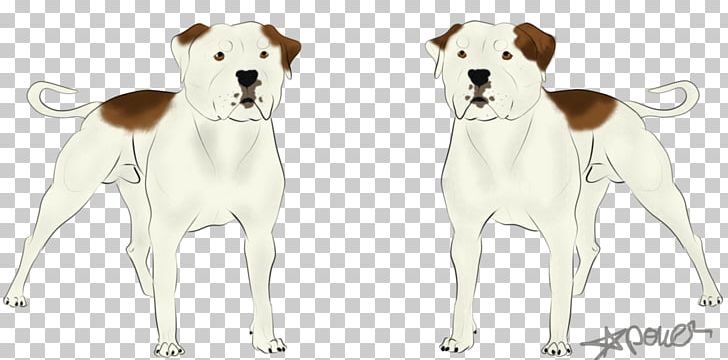 Dog Breed Pet Companion Dog Canidae PNG, Clipart, Animal, Animal Figure, Animals, Breed, Canidae Free PNG Download