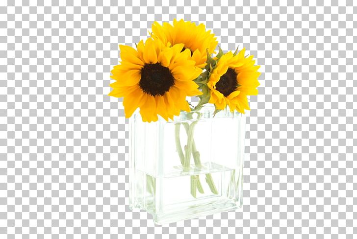 Common Sunflower Morning Cut Flowers PNG, Clipart, Arrangement, Daisy Family, Flower, Flower Arrangement, Flower Arranging Free PNG Download
