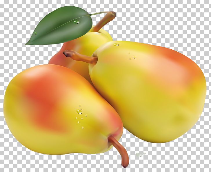 Pear Fruit Vegetable PNG, Clipart, Apple, Apricot, Clip Art, Clipart, Computer Icons Free PNG Download