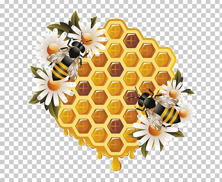 Honey Bee Worker Bee Beehive PNG, Clipart, Bee, Bee Hive, Beehive, Bumblebee, Cut Flowers Free PNG Download