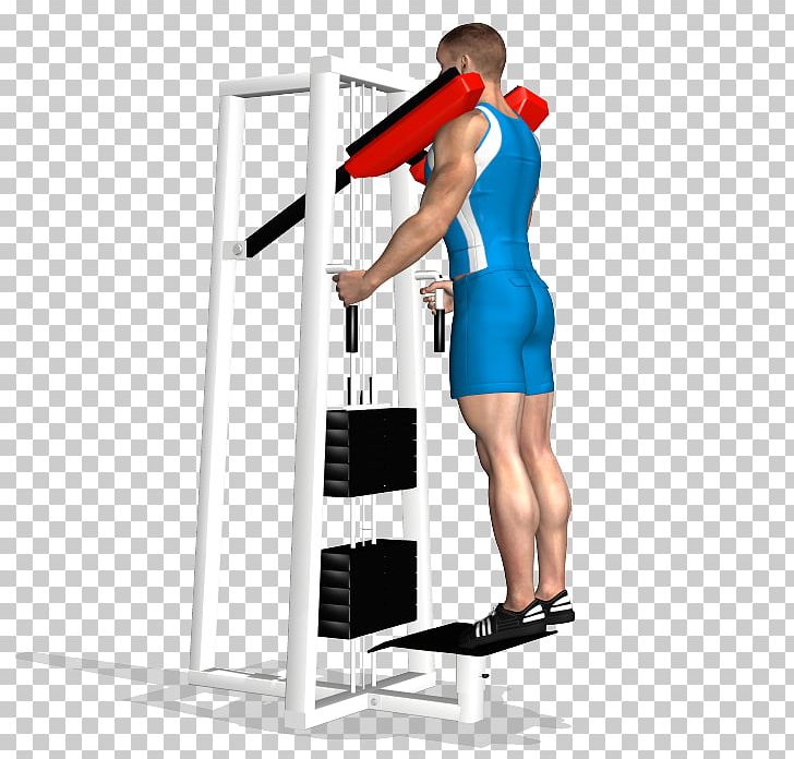 Physical Fitness Exercise Calf Raises Fitness Centre PNG, Clipart, Abdominal Exercise, Arm, Balance, Cable Machine, Calf Free PNG Download