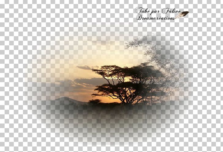 Serengeti Création Graphique Landscape Desktop Book PNG, Clipart, Africa, Book, Calm, Computer Wallpaper, Desktop Wallpaper Free PNG Download