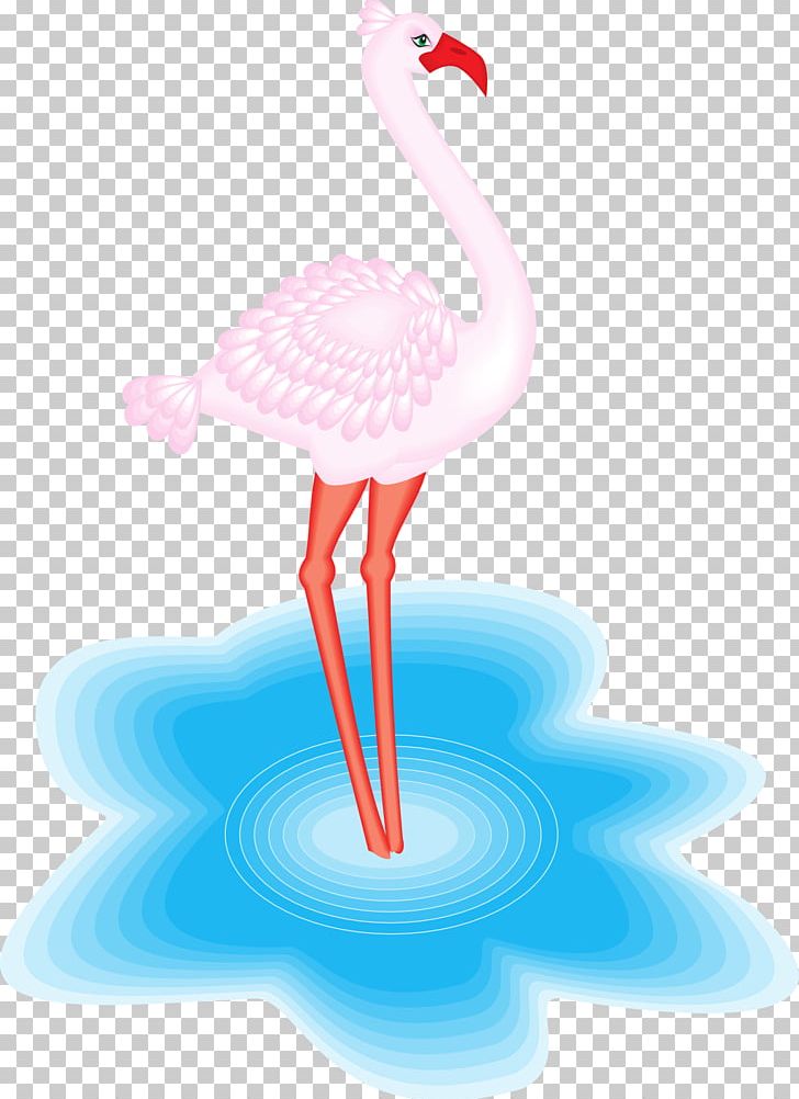Water Bird Greater Flamingo American Flamingo PNG, Clipart, American Flamingo, Animal, Animals, Beak, Bird Free PNG Download
