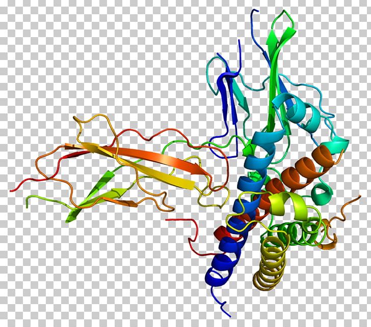Growth Hormone 2 Growth Hormone 1 Growth Hormone Receptor PNG, Clipart, Area, Artwork, Gene, Graphic Design, Grow Free PNG Download