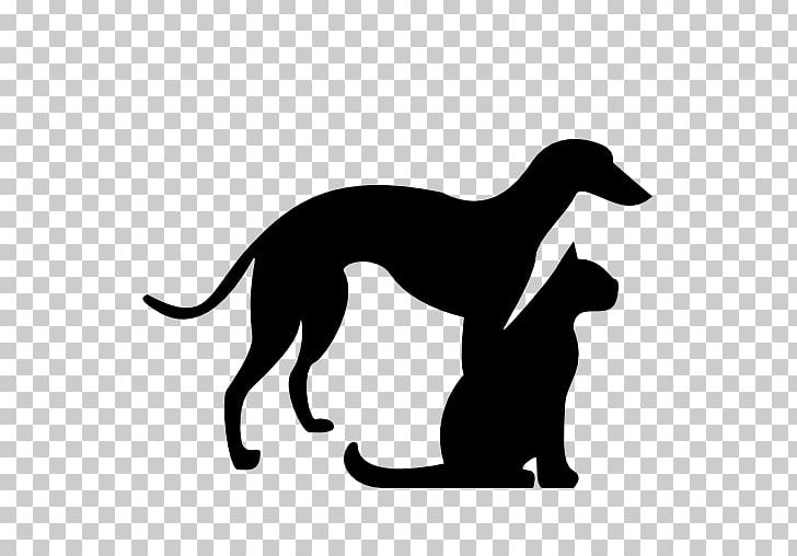Italian Greyhound Whippet Sloughi Spanish Greyhound Cat PNG, Clipart, Animals, Black And White, Carnivoran, Cat, Dog Free PNG Download