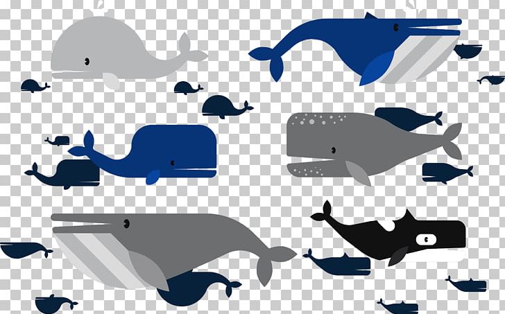 Moby-Dick Marine Mammal Beluga Whale PNG, Clipart, Angle, Animals, Baleen Whale, Blue, Blue Whale Free PNG Download