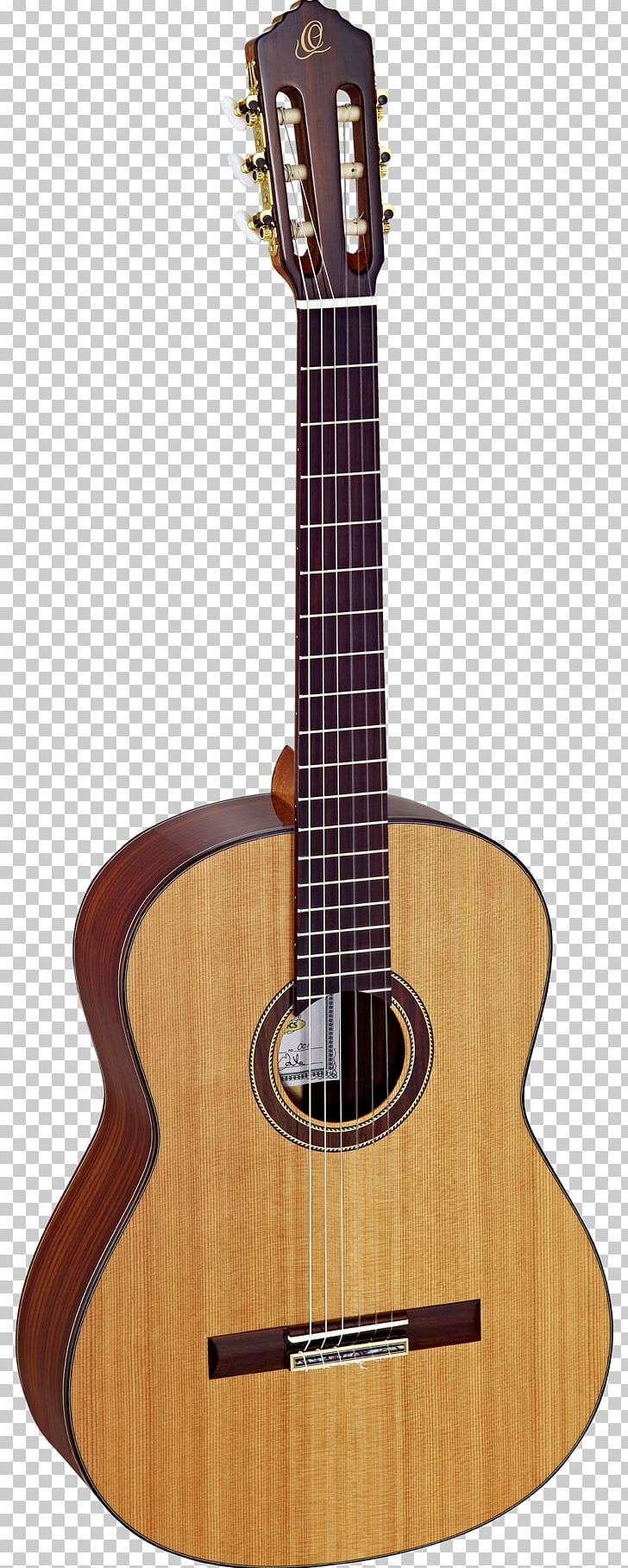 Taylor Guitars Steel-string Acoustic Guitar Classical Guitar Musical Instruments PNG, Clipart, Acoustic Electric Guitar, Amancio Ortega, Classical Guitar, Cuatro, Guitar Accessory Free PNG Download
