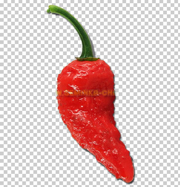 Habanero Tabasco Pepper Serrano Pepper Cayenne Pepper Pasilla PNG, Clipart, Bell Pepper, Bell Peppers And Chili Peppers, Capsicum, Capsicum Annuum, Chili Pepper Free PNG Download