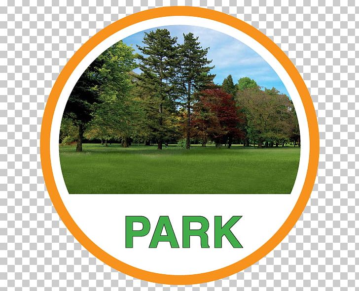 Trávní Lawn Garden Green Park PNG, Clipart, Area, Brand, Garden, Gardening, Golf Ball Free PNG Download