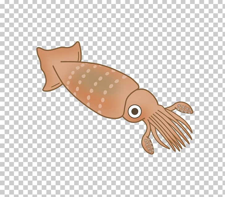Seafood Squid Fish PNG, Clipart, Fish, Organism, Others, Seafood, Squid Free PNG Download