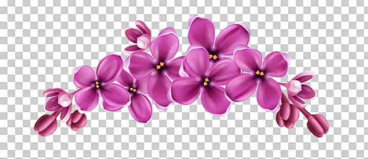 Cut Flowers Instagram Video PNG, Clipart,  Free PNG Download