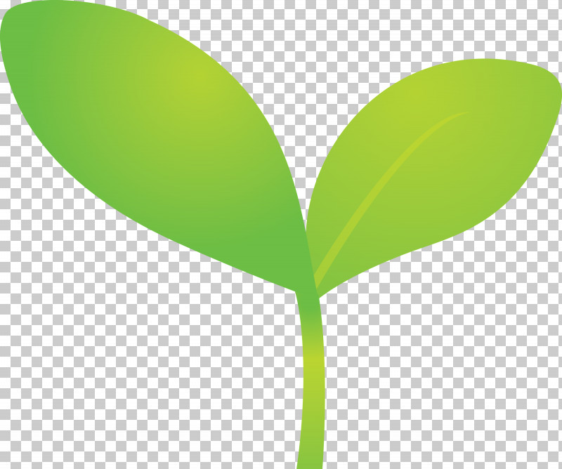 flower sprout clipart
