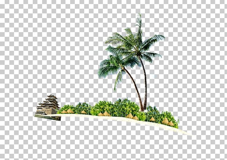 Coconut Illustration PNG, Clipart, Beach, Coconut, Coconut Leaf, Coconut Leaves, Coconut Milk Free PNG Download