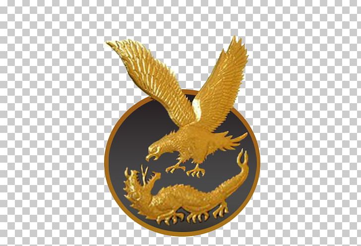 Sa'ka Forces Special Forces Military Unit 777 Egyptian Armed Forces PNG, Clipart, Air Force, Angkatan Bersenjata, Army, Bird Of Prey, Commando Free PNG Download