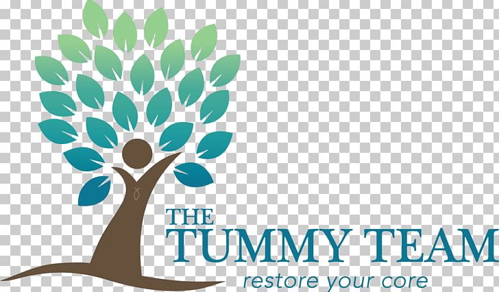 The Tummy Team Diastasis Recti Camas Physical Therapy Pregnancy PNG, Clipart, Branch, Brand, Camas, Diastasis Recti, Exercise Free PNG Download