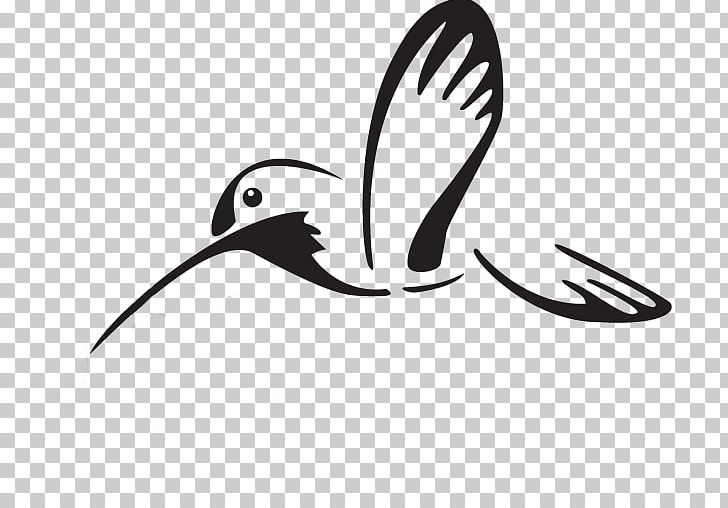 Beak Water Bird White PNG, Clipart, Animals, Beak, Bird, Black And White, Colibri Free PNG Download