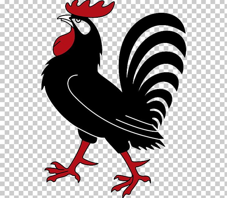 Chicken Rooster PNG, Clipart, Art, Artwork, Beak, Bird, Black And White Free PNG Download
