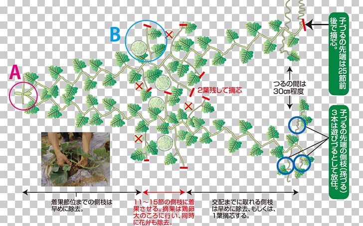 Leaf Font Technology Product Line PNG, Clipart, Area, Diagram, Grass, Leaf, Line Free PNG Download