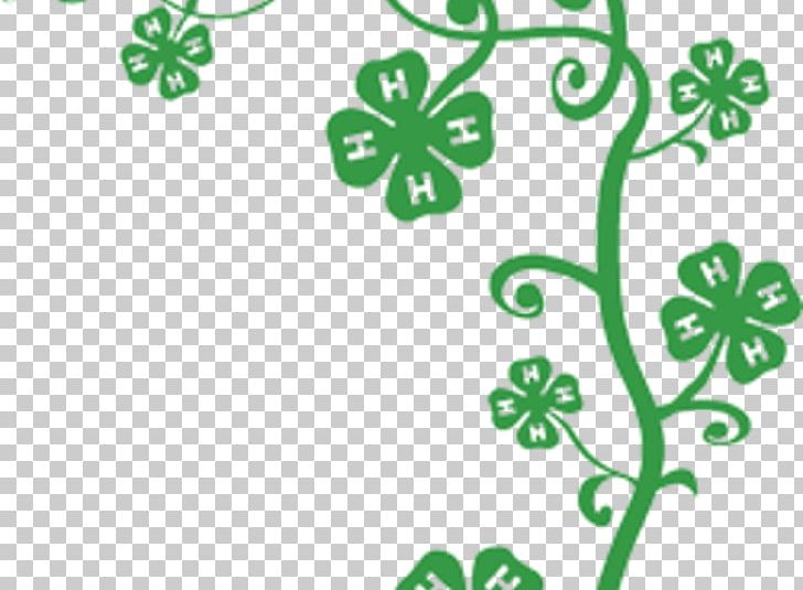 4-H Four-leaf Clover Cattle PNG, Clipart, Agriculture, Branch, Business, Cattle, Circle Free PNG Download