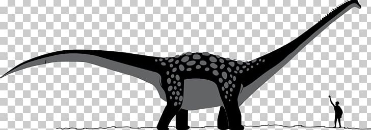 Antarctosaurus Apatosaurus Late Cretaceous Dinosaur Sauropoda PNG, Clipart, Antarctosaurus, Apatosaurus, Armour, Aucasaurus, Beak Free PNG Download